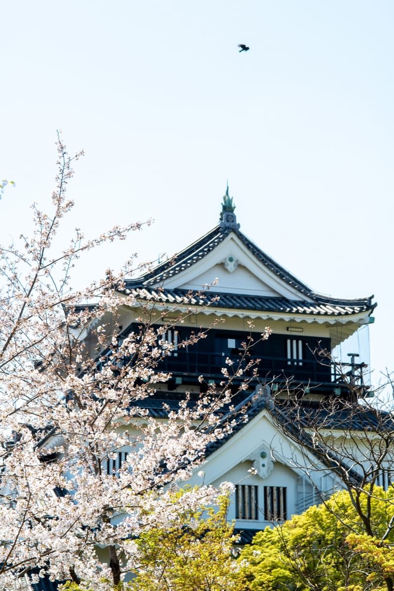 🏯 미카와 무사의 저택 이에야스관(미카와 부시노 야카타 이에야스칸) 이미지 10